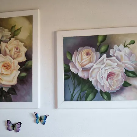 公寓 Armonia 塔瑙内拉